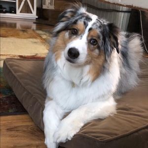 Meet your Posher, Mona